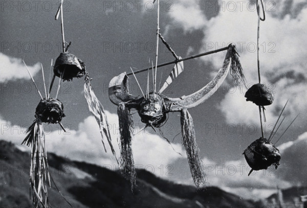 Kalyo Kengyu, northern India: human heads hung up as trophies in a Naga village, c1930s. Creator: Unknown.
