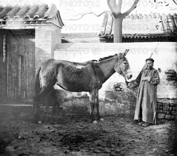 China: an old Mongol woman with her horse, Beijing, 1871. Creator: John Thomson.