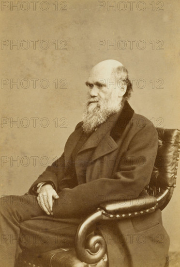 Charles Darwin, c1870s. Creator: London Stereoscopic & Photographic Co.