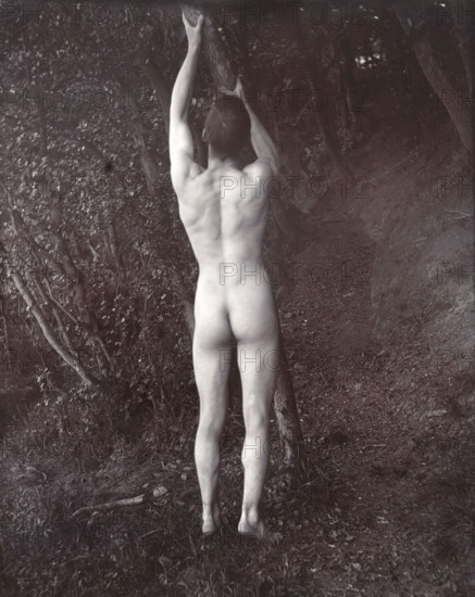 A man posing naked, with his back to the camera, holding on to a branch of a tree, c1900. Creator: Unknown.
