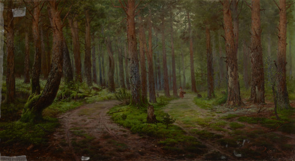 Forest Landscape, 1894. Creator: Karl Klopfer.