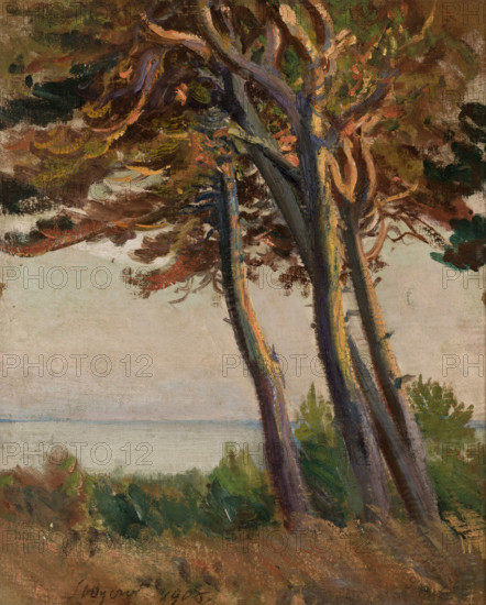 Pines at Polaga, 1908. Creator: Leon Wyczolkowski.