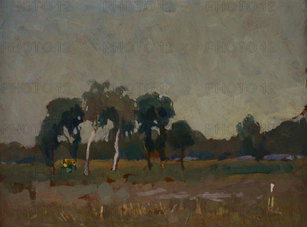 Trees on the Meadow, 1905. Creator: Jan Stanislawski.