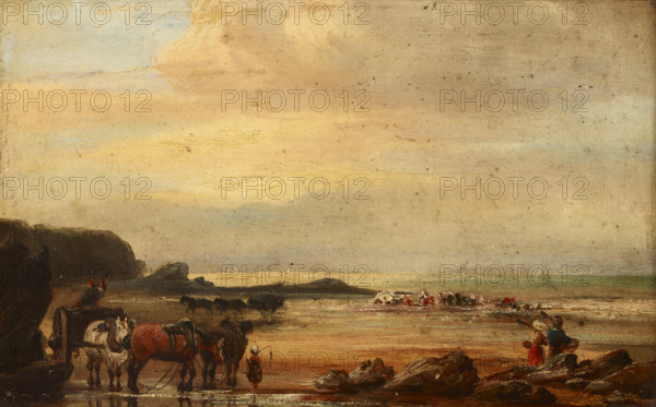 Sea Coast, 19th century. Creator: Unknown.