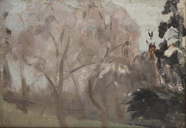 The Crimea (Spring), 1906. Creator: Jan Ciaglinski.