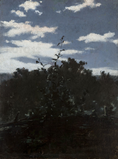 Landscape with a Brushwood Fence, c1880. Creator: Witold Pruszkowski.