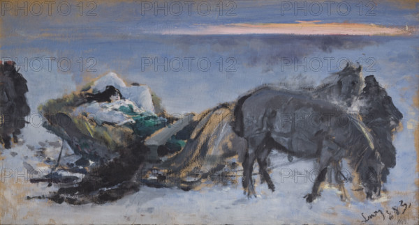 Gertruda Komorowska in the Sleigh, 1883. Creator: Leon Wyczolkowski.