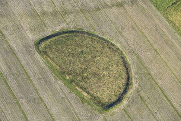 An early Iron Age enclosed settlement earthwork on Cow Down, Wiltshire, 2023. Creator: Damian Grady.