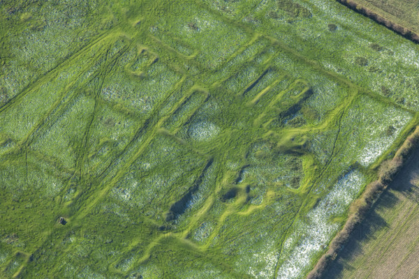 The earthwork remains of part of the deserted medieval village of Gainsthorpe...Lincolnshire, 2024 Creator: Robyn Andrews.