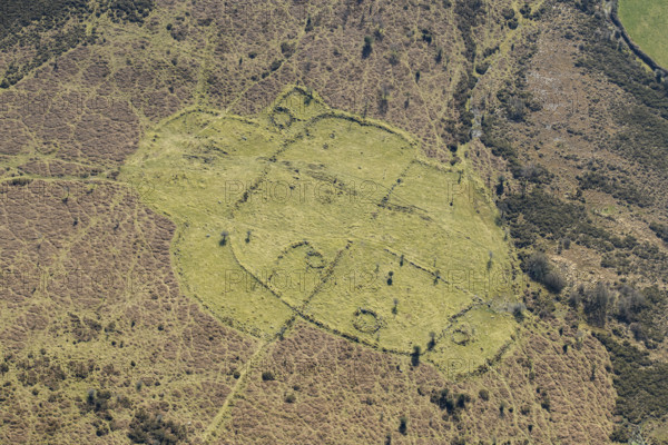 An enclosed stone hut circle settlement on Buckland Common, Dartmoor, Devon, 2025. Creator: Damian Grady.