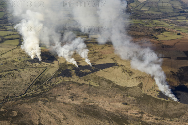 Bracken or gorse burning, known as swaling, on Dartmoor, Devon, 2025. Creator: Damian Grady.
