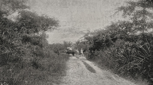 Morro road, Santiago de Cuba, Cuba, 1898. Creator: Unknown.