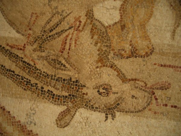 Mosaic, El Jem Museum, El Djem, Tunisia, 2009. Creator: Amanda Waite.
