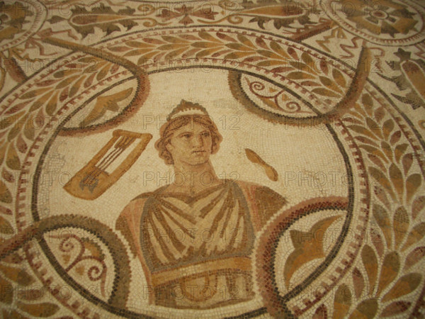 Mosaic, El Jem Museum, El Djem, Tunisia, 2009. Creator: Amanda Waite.