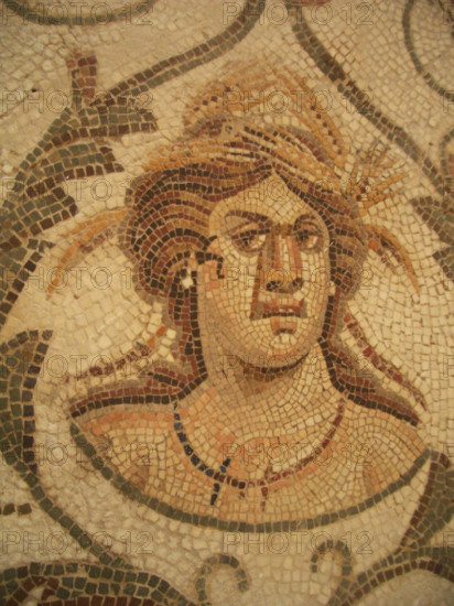 Mosaic, El Jem Museum, El Djem, Tunisia, 2009. Creator: Amanda Waite.
