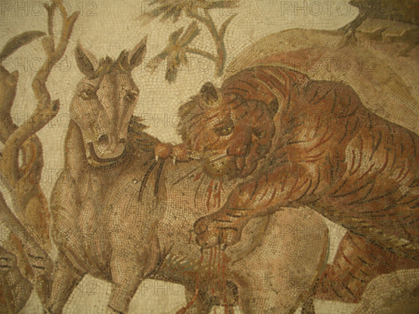 Mosaic, El Jem Museum, El Djem, Tunisia, 2009. Creator: Amanda Waite.