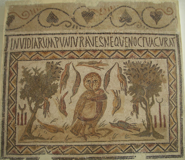 Mosaic, El Jem Museum, El Djem, Tunisia, 2009. Creator: Amanda Waite.