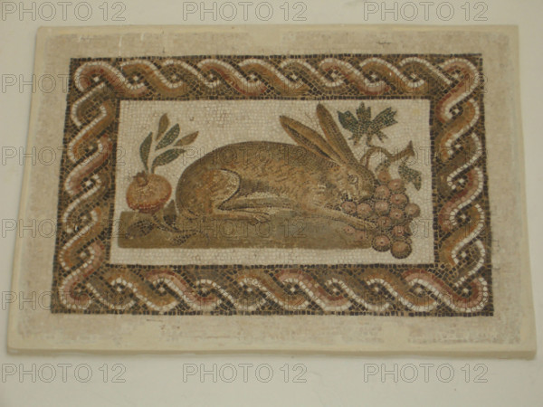 Mosaic, El Jem Museum, El Djem, Tunisia, 2009. Creator: Amanda Waite.