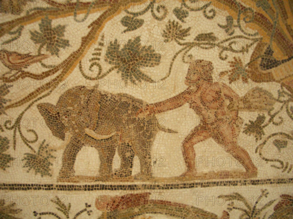 Mosaic, El Jem Museum, El Djem, Tunisia, 2009. Creator: Amanda Waite.