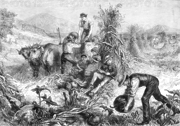 American Harvest Home, 1881.  Creator: Unknown.