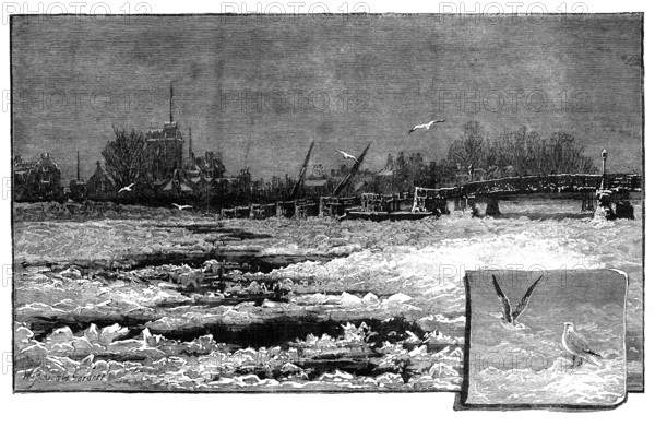 Wintry weather on the Thames: the river at Putney, 1881. Creator: Unknown.