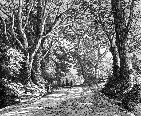 An English lane: from "Autumnal Leaves" (Sketches in the New Forest), 1881. Creator: James Davis Cooper.