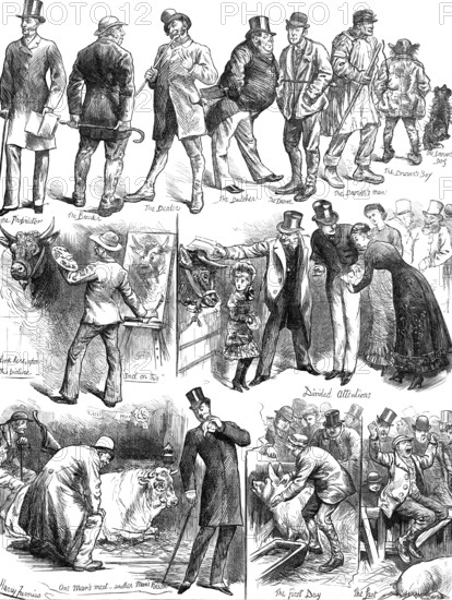 Sketches at the Smithfield Club Cattle Show, 1881. Creator: Unknown.