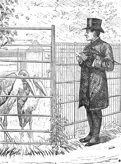 Sketch of a picture in the Royal Academy Exhibition: An Episcopal Visitation, H. S. Marks R.A., 1881 Creator: Unknown.
