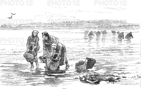 Sketch of a picture in the Royal Academy Exhibition: Mussel Gatherers, Colin Hunter, 1881. Creator: Unknown.