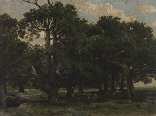 Pines, c1870. Creator: Jozef Szermentowski.