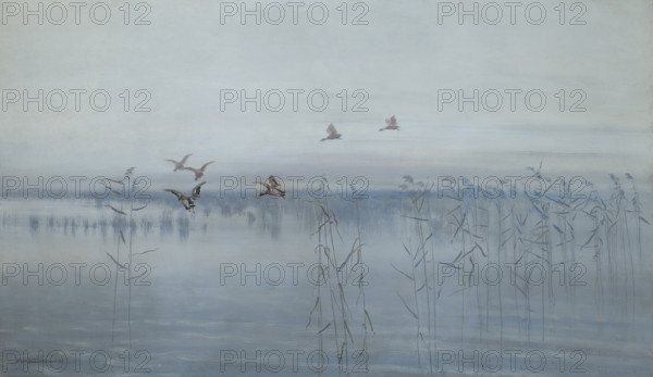 Ducks over Swamps, 1892. Creator: Stanislaw Maslowski.