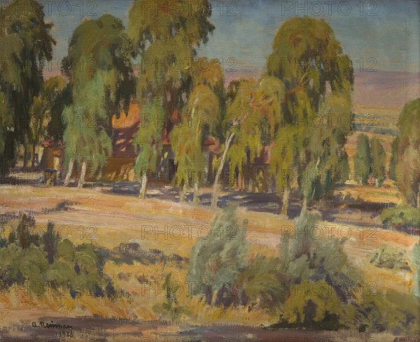 Eucalyptus Trees in Upper Galilee, 1926. Creator: Abraham Neuman.