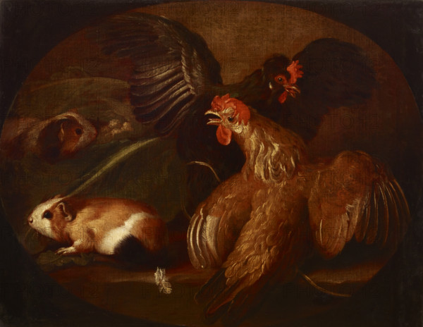 Hens and Guinea Pigs, between 1718-1720. Creator: Giovanni Agostino Cassana.