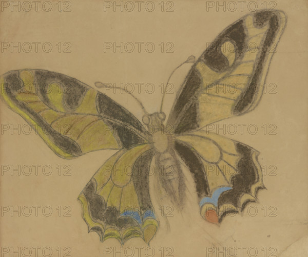 Butterfly (Old World Swallowtail), 1897-1898. Creator: Stanislaw Wyspianski.