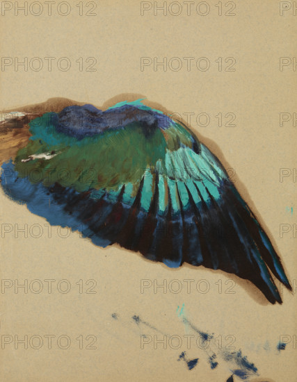 Study of a Wing-Study of a Fgure of "Inspiration" from the Curtain for the Municipal..., c1899. Creator: Henryk Siemiradzki.
