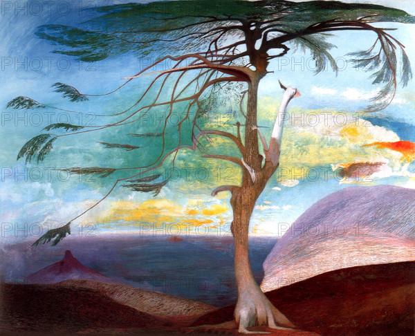 The Lonely Cedar, 1907. Creator: Kosztka Csontváry, Tivadar (1853-1919).