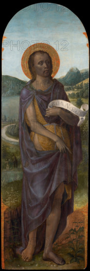 Saint John the Baptist, c.1490-1495. Creator: Foppa, Vincenzo (active 1456-1516).