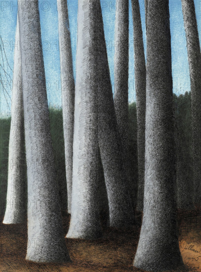 Beech Trees Trunks, 1945. Creator: Spilliaert, Léon (1881-1946).