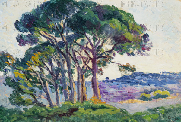 Pines at Canebiers, 1903. Creator: Luce, Maximilien (1858-1941).