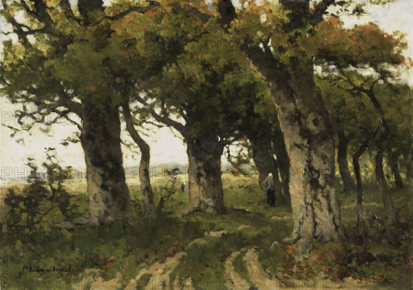 Avenue of Oaks in Late Summer, Between 1880 and 1900. Creator: Bilders-van Bosse, Maria (1837-1900).