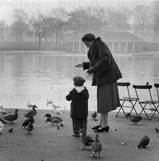 Woman and a young boy feeding the ducks and birds on the edge of the Serpentine, Hyde Park, 1960-70. Creator: John Gay.