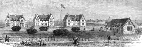 The Northumberland Village Homes at Whitley, Near Tynemouth, 1883. Creator: Unknown.