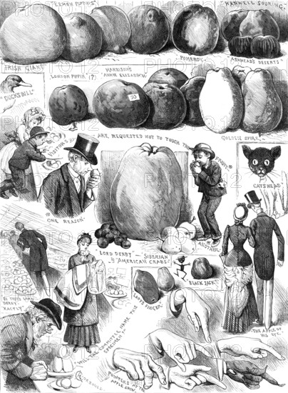 Sketches at the Apple Congress at Chiswick, 1883. Creator: Unknown.