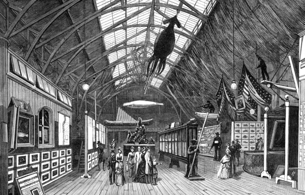 The International Fisheries Exhibition: the Canadian Court, 1883. Creator: Unknown.