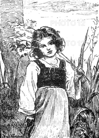Meadow-Sweet by F. Morgan:...Institute of Painters in Oil Colours, 1883. Creator: Unknown.
