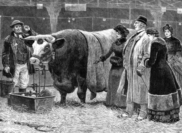 The Pleasure of Success, 1883. Creator: Unknown.