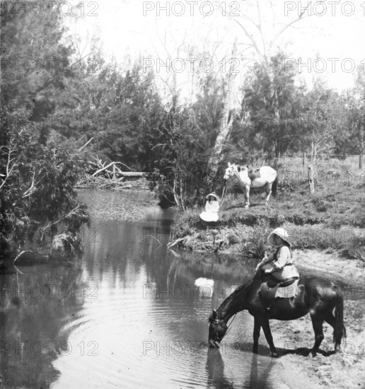 Ladies giving their horses a drink, c1900s. Creator: Robert Augustus Henry L'Estrange.