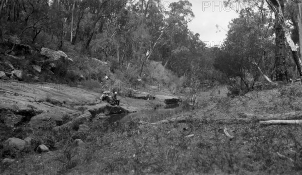Australian bush scene, c1900s. Creator: Robert Augustus Henry L'Estrange.