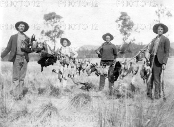 Unknown men and boy with a successful duck shoot, c1900s. Creator: Robert Augustus Henry L'Estrange.