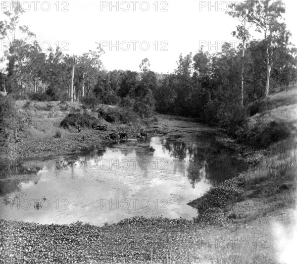 Moggill Creek near Brisbane, 1905. Creator: Ernest Melville.